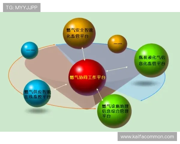PA网站维护与管理技巧，确保网站安全稳定运行的实用建议