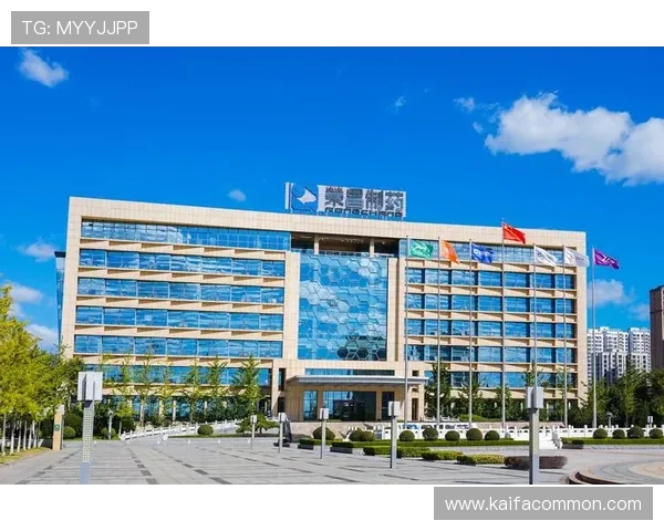 凯发・k8国际(中国)-登录首页：最新登录指南确保您的账户安全与顺畅体验