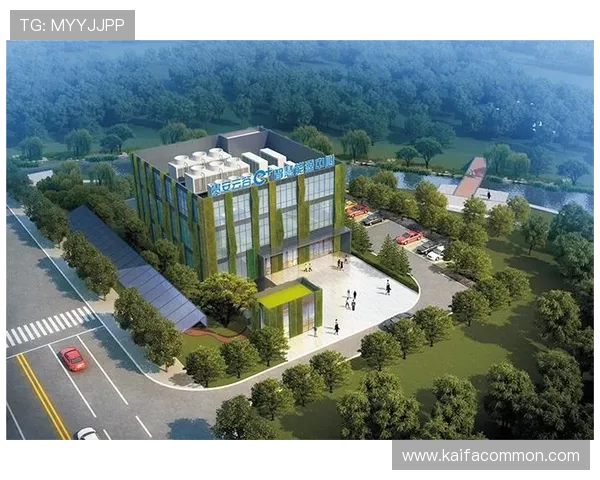 凯发网娱乐官网登录遇到问题无法进入的原因及专业解决方案指南